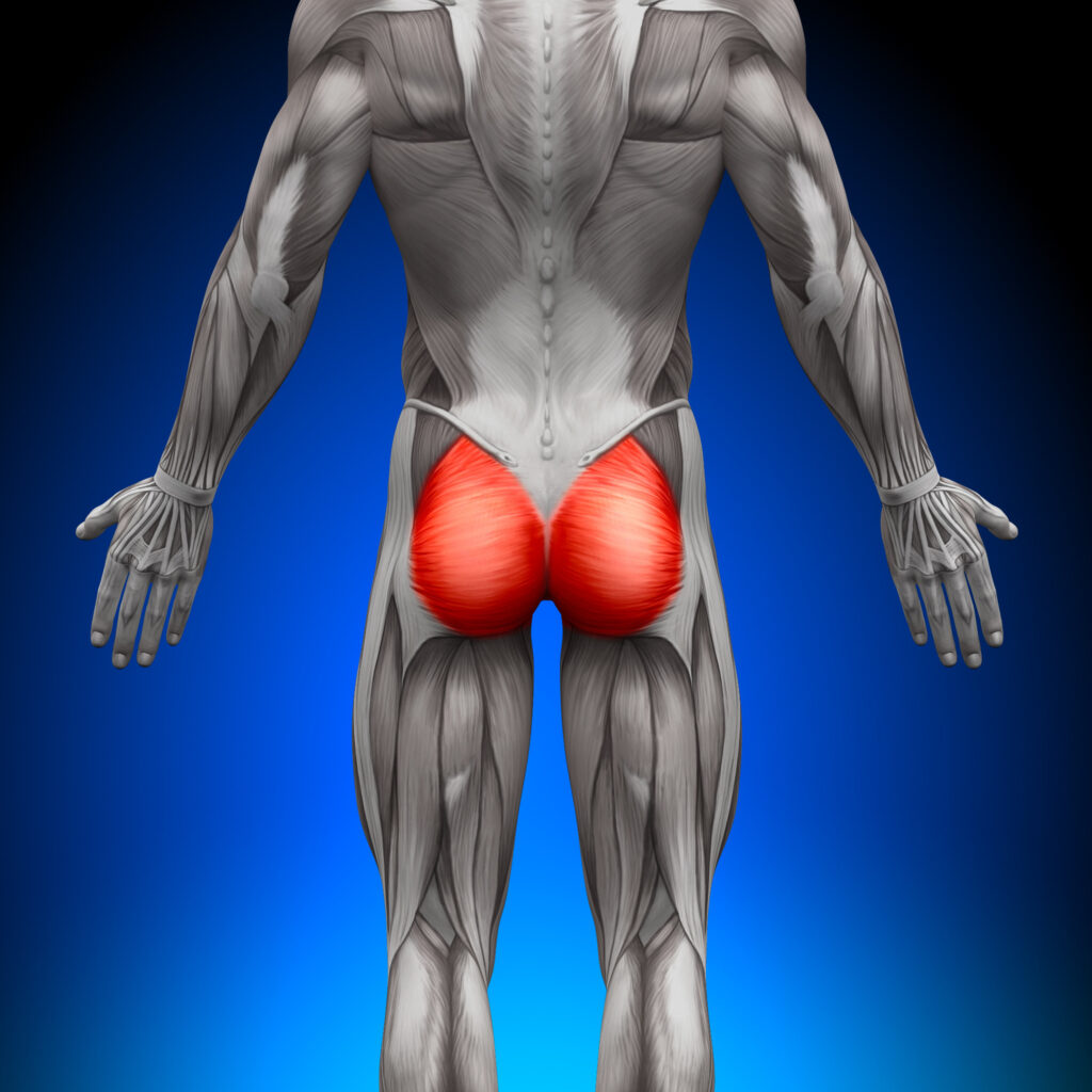 Strong Glutes for Back Pain